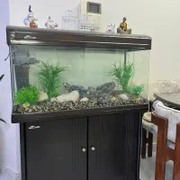 آکواریوم در حد نو با تمام وسایل