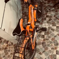 دوچرخه ۱۶|دوچرخه، اسکیت، اسکوتر|بوشهر, |دیوار