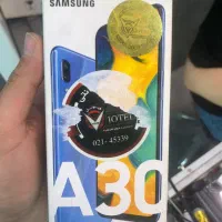 A30
