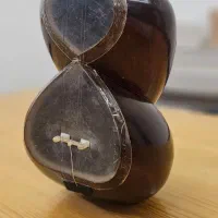 تار شیراز دو مهر ایران ساز|سازهای سنتی|تهران, فلسطین (میدان انقلاب)|دیوار