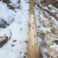 چوب حمال ۶متری