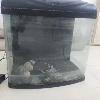 فروش فوری اکواریوم