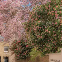 عکس های کیوت