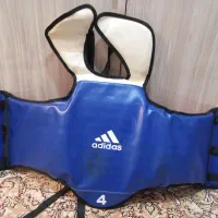 هوگو تکواندو