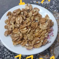 تویسرکان مغز گردو|حراج|قم, چهل درخت‎|دیوار