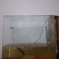 اکواریوم معاوضه