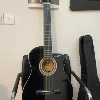 گیتار دیاموند کاتوی پلاس