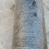ایزوگام