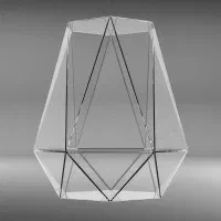 شیشه چند صلعی تراریوم چند وجهی تراریوم|گل و گیاه طبیعی|تهران, ابوذر|دیوار