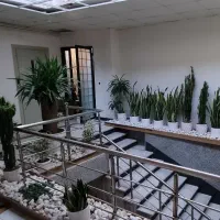اجرا و دیزاین گل و گیاه آپارتمانی|گل و گیاه طبیعی|کرج, فاز ۱ مهرشهر|دیوار