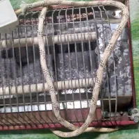 هیتر‌برقی‌سالم‌