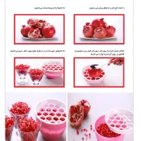 انار دون کن پارسینا (کاربردی و مناسب برای هر خانه)|آبمیوه‌گیر و آب‌مرکبات‌گیر|تهران, تهرانپارس شرقی|دیوار