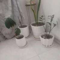 گلدان های سفالی