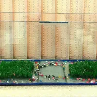 آکواریوم + لوازم