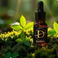 روغن تسکین درد از سر تا پا به همراه اشانتیون