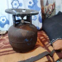 پیک نیک با تجربه