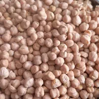 نخود تازه وخوش پخت