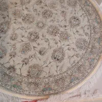 فرش ۱۲ متری|فرش|داراب, |دیوار