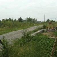 زمین ۳۵۰۰ متری/بر اصلی جاده آمل-محمودآباد|اجارهٔ دفتر صنعتی، کشاورزی، تجاری|آمل, |دیوار