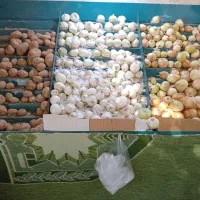 پالت میوه فروشی