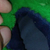 دمپایی خانگی|کیف، کفش، کمربند|اردبیل, |دیوار