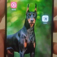 11T pro|موبایل|کرمانشاه, |دیوار