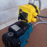 لئو نیم اسب