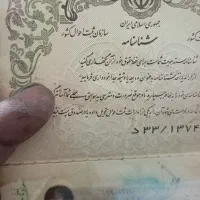 یک شناسنامه پیداشده