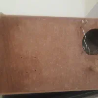 لانه طوطی عروس هلندی بزرگ تمیز سالم