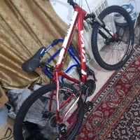 دوچرخه ویوا اسمارت ۲۹ اکبند