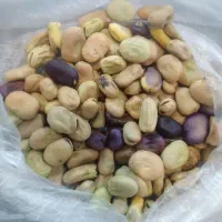 باقالی تازه و خوش پخت