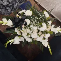 گل ترحیم نو|گل و گیاه طبیعی|تبریز, |دیوار