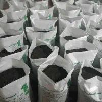 هموس ۱۶ عنصری کودی کامل با ماندگاری و تقویت بالا
