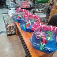 باکس جزیره ای همستر|لوازم جانبی حیوانات|قم, حکمت شمالی|دیوار