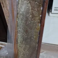 عسل طبیعی کوهستان به شرط میدم ناب ناب|خوردنی و آشامیدنی|کردکوی, |دیوار