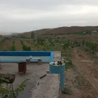 زمین باغی
