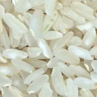 برنج درجه یک کشت دشمن زیاری