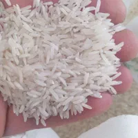 برنج فجر شمال|خوردنی و آشامیدنی|پاکدشت, شهرک انقلاب|دیوار