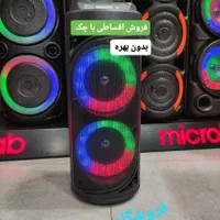 باند اسپیکر وسینما خانواده باچک بی بهره*۳رنگ