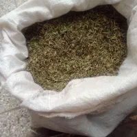 یه مقداراویش کاکوتی هست لازم هر عزیزی بود درخدمتم