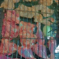 مرغ بریانی و ذغالی