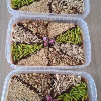 رنگینک خانگی با رطب تازه و پرمغز|خوردنی و آشامیدنی|جهرم, |دیوار