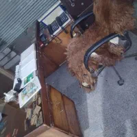 دو عدد میز مدیریت اداری چوبی|مبلمان اداری|بناب, |دیوار