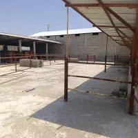 فروش گاوداری شیری صنعتی ۴۰۰۰ متری|فروش دفتر صنعتی، کشاورزی، تجاری|شیراز, کوشک بیدک|دیوار