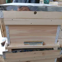 کندو کف بسته  ده قاب و پنج قاب وطبق|لوازم جانبی حیوانات|همدان, |دیوار