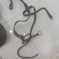 زین اسب با کلیه لوازم|اسب و تجهیزات اسب‌سواری|سیرجان, |دیوار