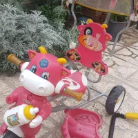سه چرخه سالم
