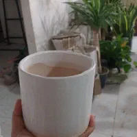 گلدان