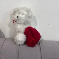 عروسک پولیشی|اسباب‌بازی بچه|تهران, شمیران‌نو|دیوار