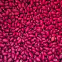 لوبیاقرمز